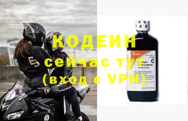 прущие грибы Дмитровск