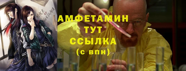 прущие грибы Дмитровск