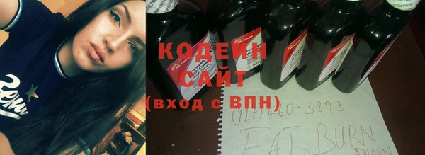 прущие грибы Дмитровск