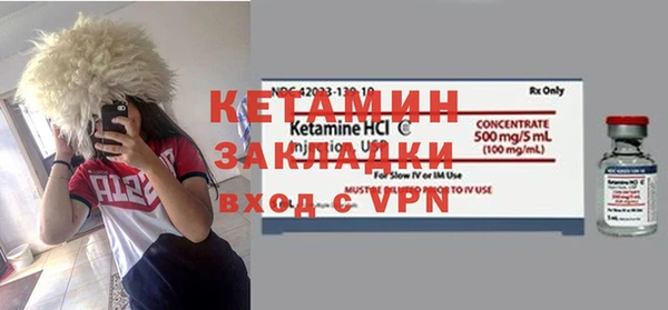 прущие грибы Дмитриев