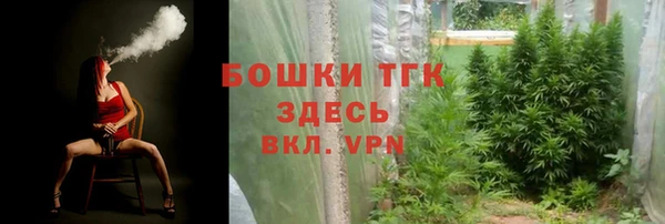 прущие грибы Дмитриев