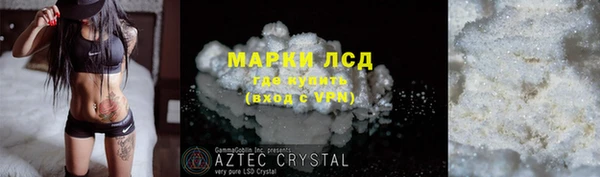 прущие грибы Дмитровск
