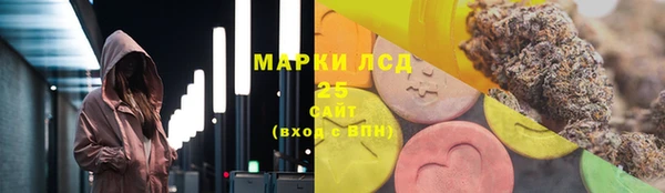 прущие грибы Дмитровск