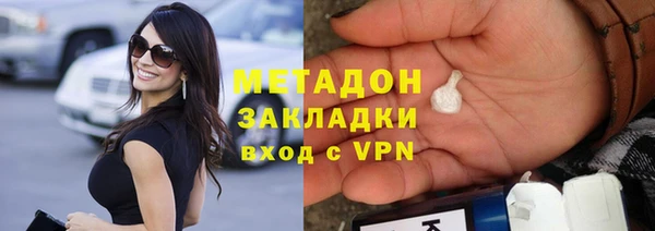 прущие грибы Дмитриев