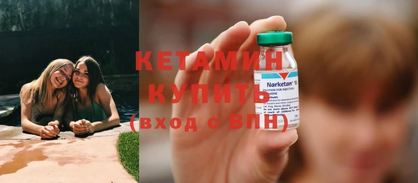 прущие грибы Дмитриев