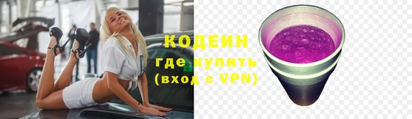 прущие грибы Дмитровск