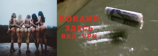 прущие грибы Дмитриев