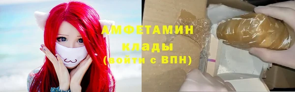 прущие грибы Дмитриев