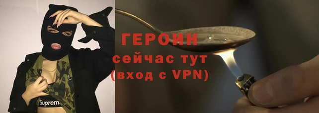 прущие грибы Дмитровск