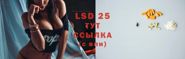 прущие грибы Дмитровск