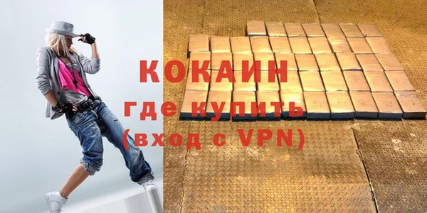 прущие грибы Дмитриев