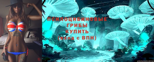 крисы Дмитров