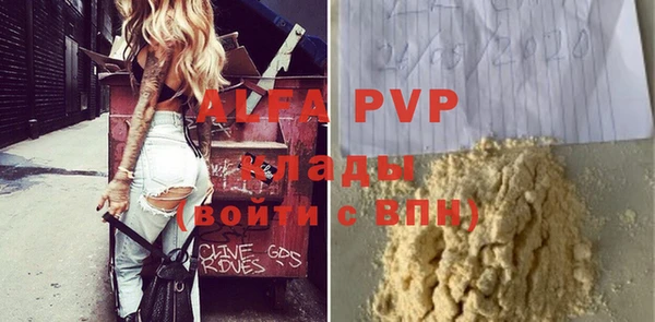 прущие грибы Дмитриев