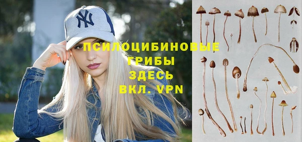 крисы Дмитров