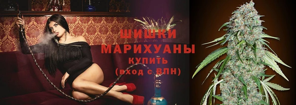 прущие грибы Дмитровск