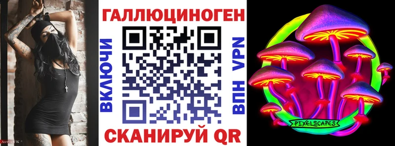 Купить закладки  Магас  Псилоцибиновые грибы Psilocybine cubensis 